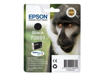 Originální inkoust Epson T0891 [C13T08914011] [Černý]