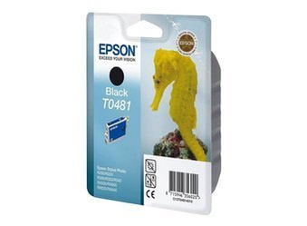 Originální inkoust Epson T0481 [C13T04814010] [Černý]